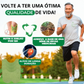 Adesivos Flexlive - O Tratamento Natural: Artrite, Bursite, Lombar, Muscular